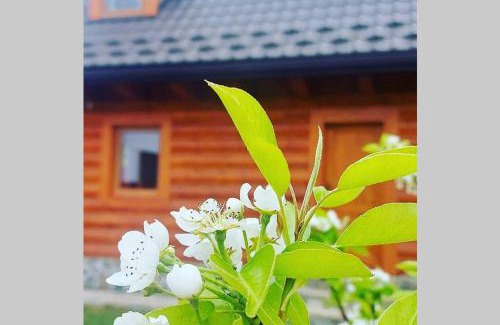 Osturna House | Kid-Friendly Retreat at Chata vo dvore – Rated 9.7/10