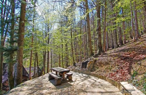 Terchova Ski Chalet | Pet-Friendly Retreat at Chata Zuzana: Rated 9.3/10