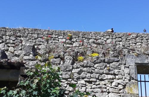 Chemery Bed & Breakfast | Discover Comfort at Chateau de Chémery - Family & Pet Friendly