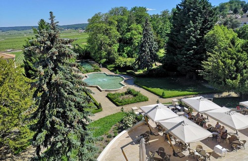 Rilly-la-Montagne Hotel | Enchanting Chateau De Rilly with Hot Tub & Breakfast