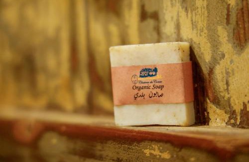 Kfardebian Resort | Experience the Elegance of Chateau Du Comte with Ocean Views
