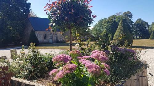 Saint-Pierre-des-Nids House | Oceanfront Escape at L'annexe du Plessis Bochard