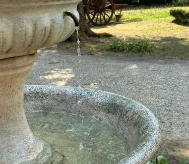 Bayon-sur-Gironde Bed & Breakfast | Chateau La Croix De Millorit - Family-Friendly Getaway