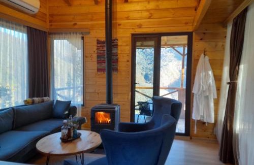 Adjara House | Experience Unmatched Comfort at Chateau Maxuntseti - 9.5/10