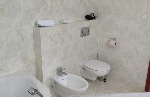 Mlada Vozice Hotel | Pet-Friendly Comfort at Chateau Radvanov Pension