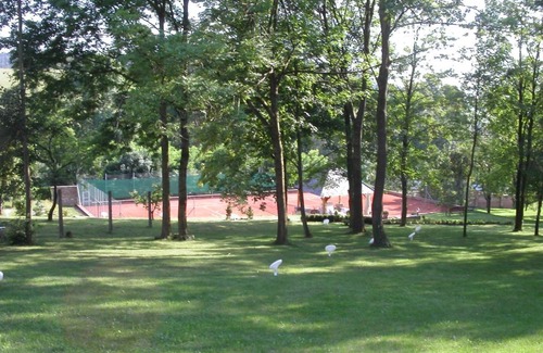 Mlada Vozice Hotel | Pet-Friendly Comfort at Chateau Radvanov Pension