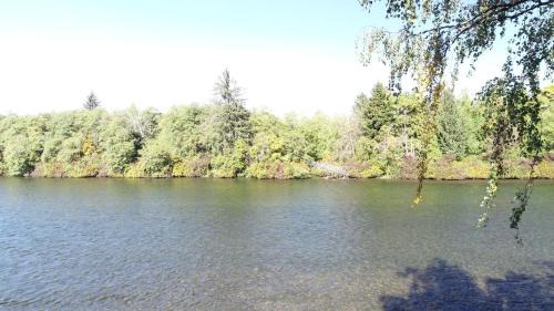 Campbell River Hotel | Riverside Retreat: Highly Rated Stay with Family Amenities
