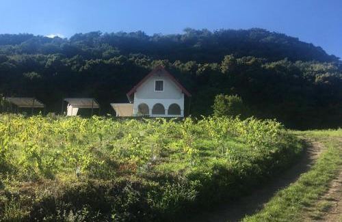 Gyulakeszi Apartment | Unforgettable Stay at Chateau Segesdi BorApartman