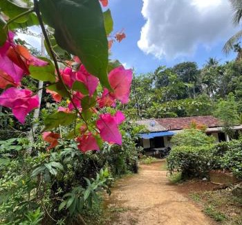 Dehiowita House | Chathu's little inn