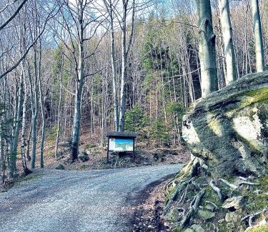 Ostravice Ski Chalet | Pet-Friendly Retreat: Chatka pod Lysou with Top Ratings