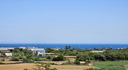 Hallim House | Relax at Jeju Private Full Stay with Pool & Family Amenities