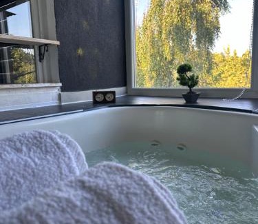 Bosnia Apartment | Pet-Friendly Checkmate: Guests Love It with 9.7/10 Rating