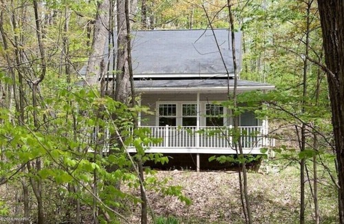 Evart Cottage | Bright 3-Bed Cottage with Lake Access on Chippewa Lake