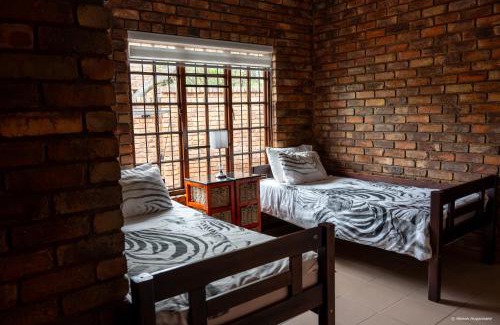 Bela-Bela Resort | Cheetah Experience