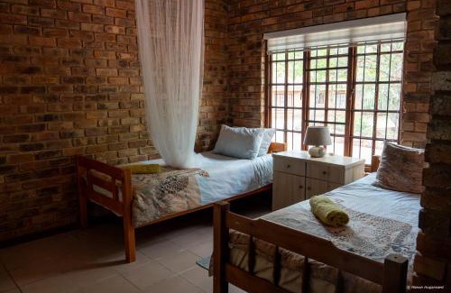 Bela-Bela Resort | Cheetah Experience