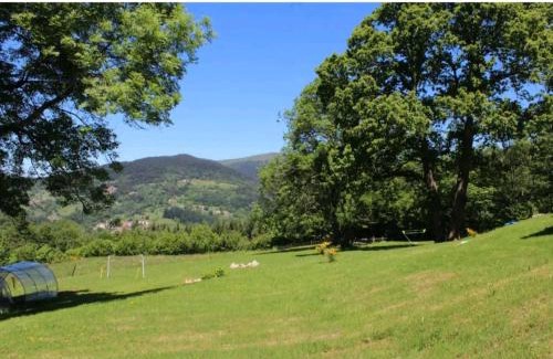 Ambert Bed & Breakfast | Pet-Friendly Retreat at Cheix de Céline & Mathieu