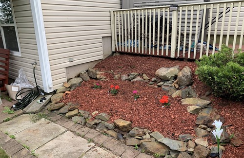 North End Apartment | Cherry Tree House: Cozy 1 BDR with Patio & BBQ
