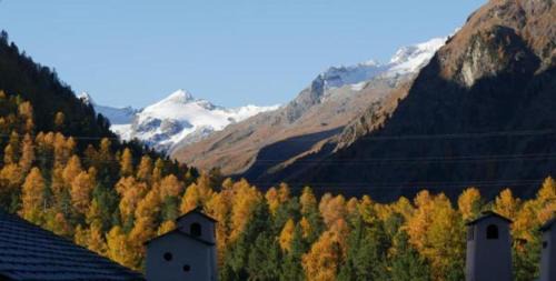 Pontresina Apartment | Elegant Stay at Chesa Delfin: 4-Star Guest Rated 9.4/10