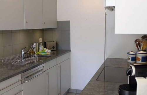 Sankt Moritz-Bad Apartment | Chesa Sur Ova 21: Guest Rated 9/10 with Lake Views