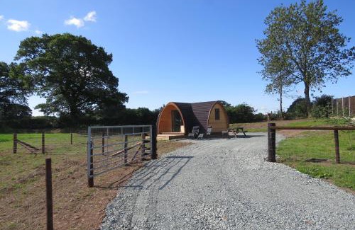 Ellesmere Other | Unforgettable Cheshire View: Pet-Friendly & Family-Oriented