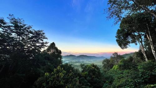 Hat Yai Hotel | Chestnut Hill Eco Resort