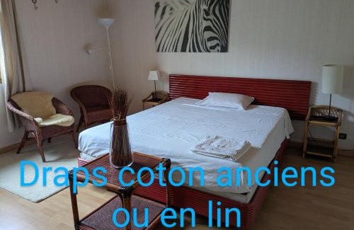 Varces-Allieres-et-Risset House | Chez Claire - Immense chambre, salle de bain indépendante réservée aux voyageurs, quartier calme, cour privée