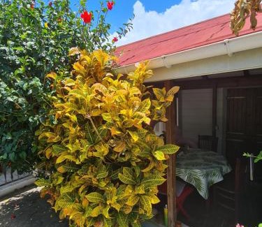Le Marigot House | Idyllic Stay at Chez Gisèle et Philippe with Ocean View