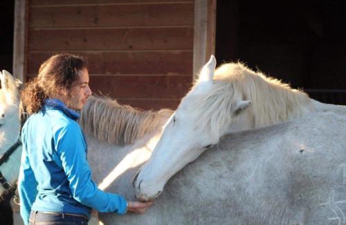 Chaux-Neuve Bed & Breakfast | Discover Pet-Friendly Comfort at Chez Hervé le Châtelet