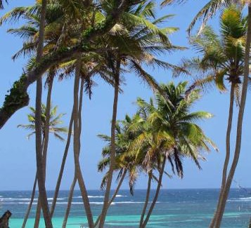 Sainte-Anne House | Oceanfront Retreat at Chez Jojo - Rated 9.3/10 by Guests