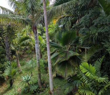 Trois-Bassins Apartment | Family-Friendly Escape at Les Palmiers with Top Reviews