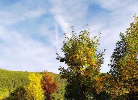 Chatillon House | Charming Chez Lucie: Pet-Friendly Stay with Pool Access