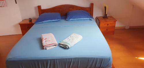 Saint-Benoit Bed & Breakfast | Relax at Chez Mimose et Henri with Pool & Hot Tub Access