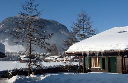 Saanen Apartment | Indulge in Comfort at Chez-Nous by Interhome with Spa