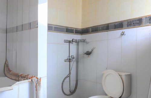 Dantewara House | Explore Chhattisgarh Escape: Family & Pet-Friendly Retreat