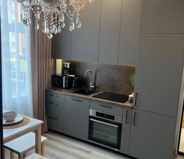 Siauliai City Center Apartment | Chic Residence apartament 2