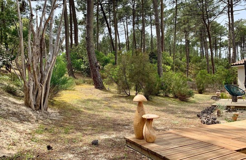 Maubuisson House | Private Garden Retreat with Ocean View & 10/10 Guest Rating