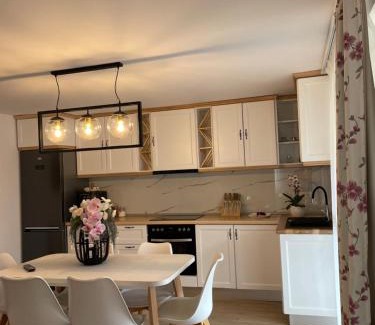 Viseu de Sus Apartment | Stylish Studio Maramures: Perfect for Families & Breakfast Included