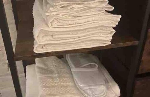 Shockoe Bottom Apartment | Trendy Queen Bed Retreat in Downtown Richmond, Pet Friendly