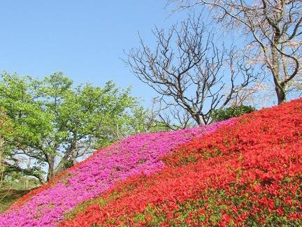 Ajiro Hotel | Elegant Chikurinan Mizuno: 4-Star Retreat with Hot Tub