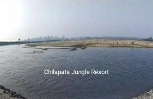 Alipurduar Resort | Explore Nature at Chilapata Jungle Resort - Pet Friendly Stay