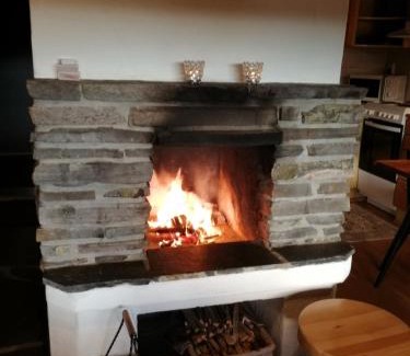 Rukatunturi House | Pet-Friendly Chill Cave: Family-Approved Logwood Cottage