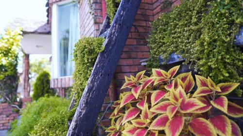 Guanshan Bed & Breakfast | Chin Shue B&B: Guest Rated 9.4 with Family-Friendly Amenities
