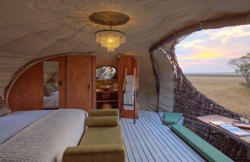 Kafue National Park Cabin | Experience Chisa Busanga Camp: Poolside Serenity Awaits