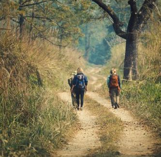 Sauraha Hotel | Discover Chitwan Gaida Lodge: Pet-Friendly Retreat