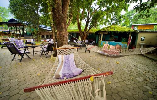 Sauraha Hotel | Discover Chitwan Gaida Lodge: Pet-Friendly Retreat