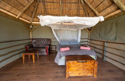 Kachikau Other | Family-Friendly Chobe Hideaway with 9.4/10 Guest Rating
