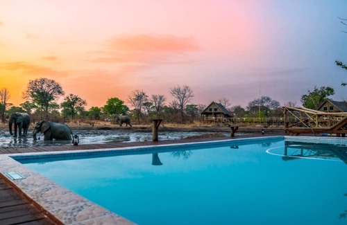 Chobe District Cabin | Discover Chobe Mupani Forest Lodge: Family-Friendly Retreat