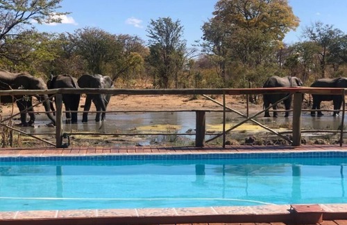 Chobe District Cabin | Discover Chobe Mupani Forest Lodge: Family-Friendly Retreat