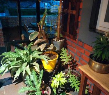 Horur House | Child-Friendly Retreat at Chombuka: Your Ideal Getaway