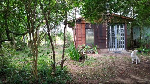 Sapiranga Other | Pet-Friendly Retreat: Choupana das Araucárias Awaits You!
